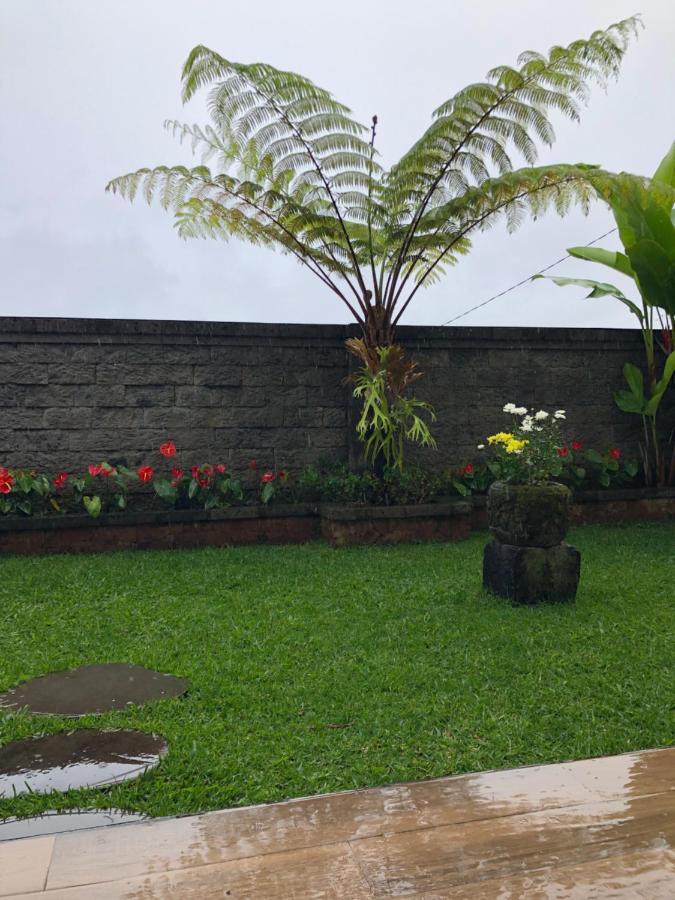 Buyan Lodge Lake View Villa Bedugul  Buitenkant foto